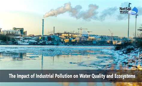 The Impact of Industrial Pollution on River Health