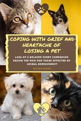 The Impact of Our Beloved Furry Companion's Absence