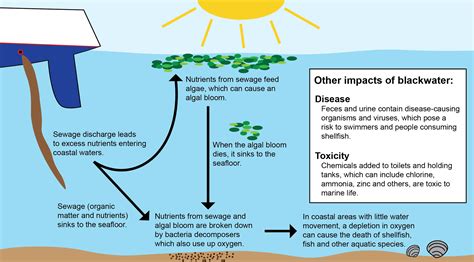 The Impact of Past Experiences on Fantasizing about Vessels and Aquatic Environments