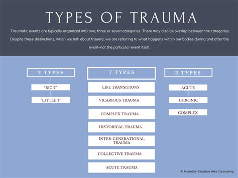 The Impact of Personal Experiences: Unveiling the Influence of Traumatic Events on Feline Nightmares