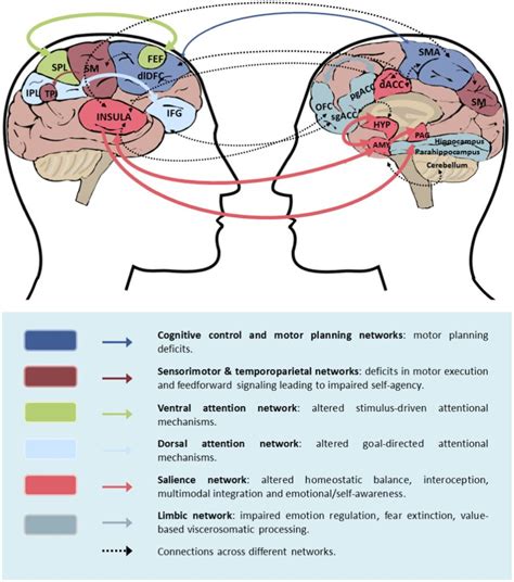 The Impact of Physical Contact: Unraveling the Importance of Gentle Facial Embraces