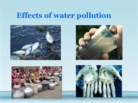 The Impact of Polluted Water: Effects on Health, Environment, and Economy