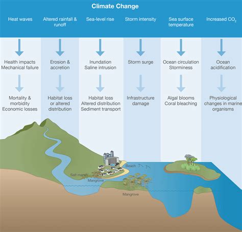 The Impact of Rainfall: How Precipitation Influences the Pollution Levels in Coastal Waters