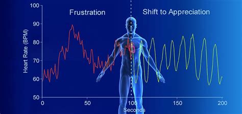 The Impact of Stress and Emotions on Heartbeat Patterns in Dreams