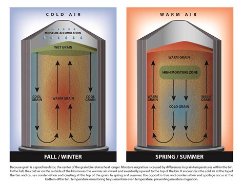 The Impact of Temperature and Airflow on Corn Storage