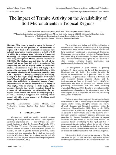 The Impact of Termite Activities on Ecosystems