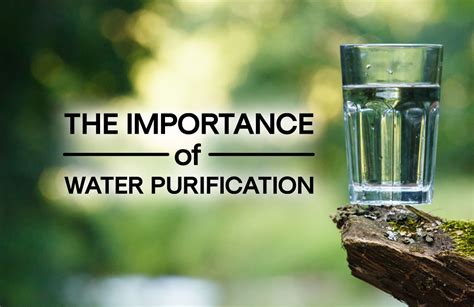 The Importance of Action: Exploring the Role of Purification in Dreams of Uncleaned Basin Fluid