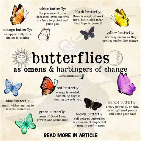 The Importance of Color in Symbolic Representation of Butterflies