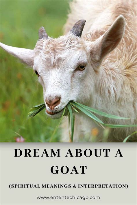 The Importance of Dreaming about an Expectant Goat