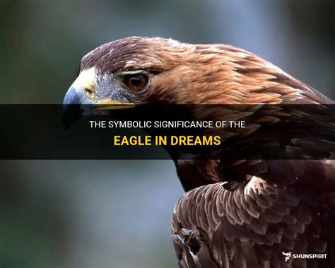 The Importance of Eagles in Dreams