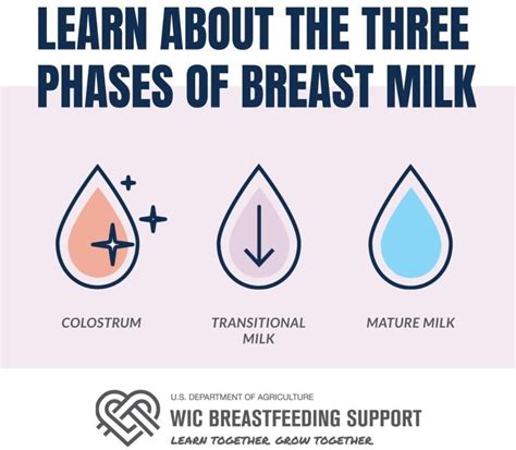 The Importance of Establishing a Consistent Milk Supply during Nursing