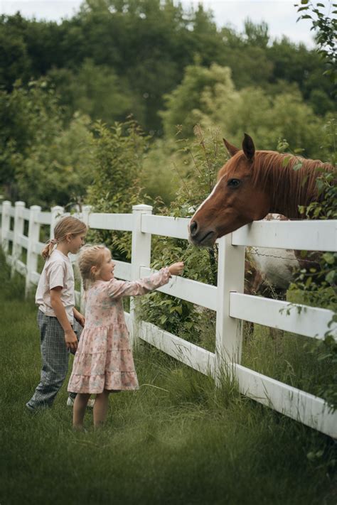 The Importance of Exercise: Keeping Your Equine Companion Fit and Active