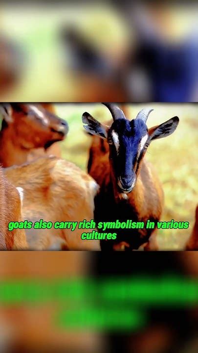 The Importance of Goats in Symbolism and Mythology