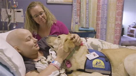 The Importance of Health Care for Ivory Canine Companions