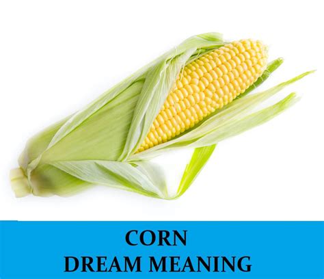 The Importance of Maize in Dreams