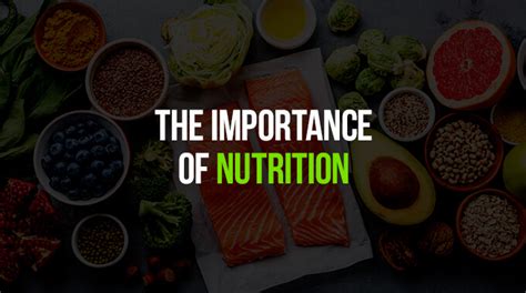 The Importance of Nutrition in Attaining Your Fitness Goals