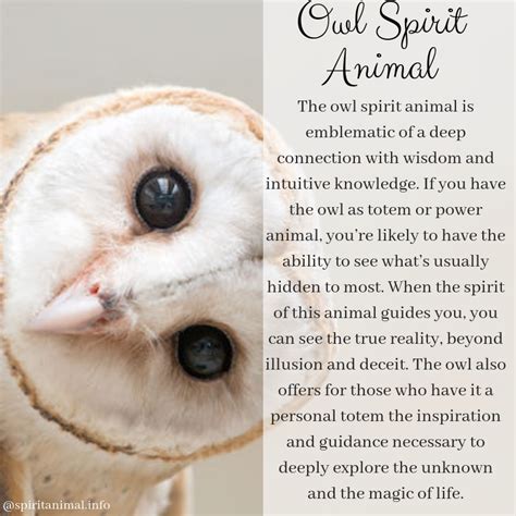 The Importance of Owls as Spiritual Guides and Animal Allies