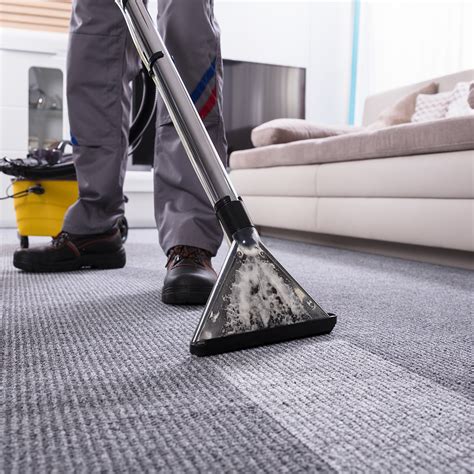 The Importance of Regular Carpet Cleaning