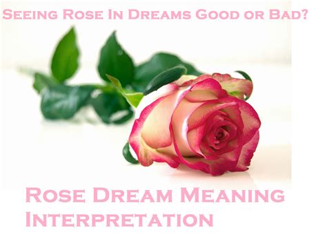 The Importance of Roses in Dreams