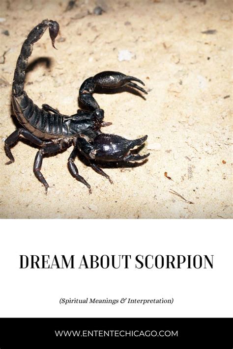 The Importance of Scorpions in Dreams