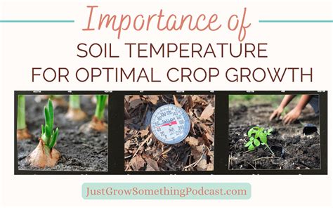 The Importance of Soil, Water, and Weather for Optimal Crop Growth