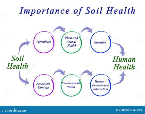 The Importance of Soil in Dreams as a Reflection of Life's Imperfections