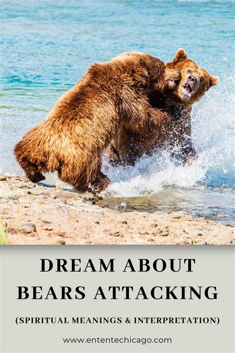 The Importance of a Wounded Bear in Interpreting Dreams