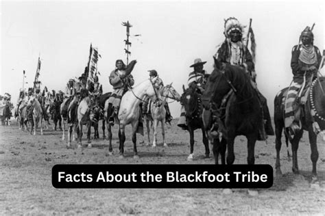 The Important Historical Role of the Black Foot Tribe