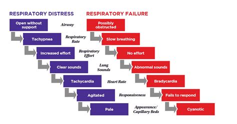 The Indicators: Identifying Signs of Insufficient Respiration