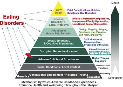 The Influence of Childhood Experiences on Dreams of Confinement