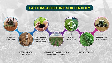 The Influence of Fertilizers on Enhancing Productivity of Cultivated Land