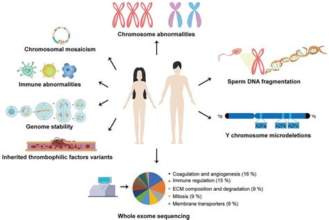 The Influence of Genetic Factors on Attraction towards Family Members