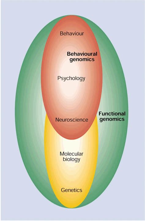 The Influence of Genetics on Cognitive Abilities