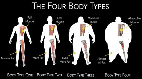 The Influence of Genetics on the Body Shape of Infants