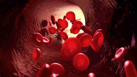 The Influence of Personal Experiences on Dreaming about Blood Tests