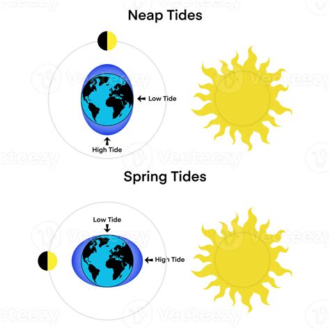 The Influence of an Impressive Lunar Orb on Earth's Tidal Patterns and Natural Phenomena