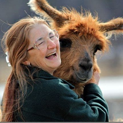 The Intricate Art of Llama Communication: Beyond Verbal Exchange