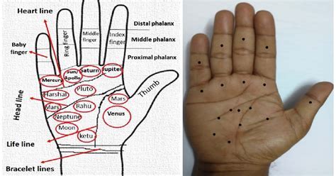 The Intricate Connection: Exploring the Psychic Significance of Dermal Protuberances on Upper Limbs in Fantasized Reveries