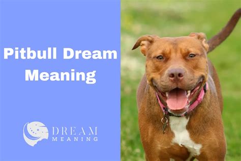 The Intricate Symbolism of Pitbulls in Dreams