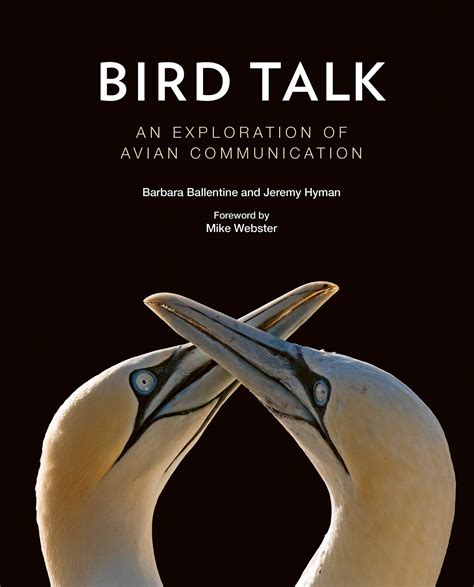 The Intrigue of Imagining Avian Communication