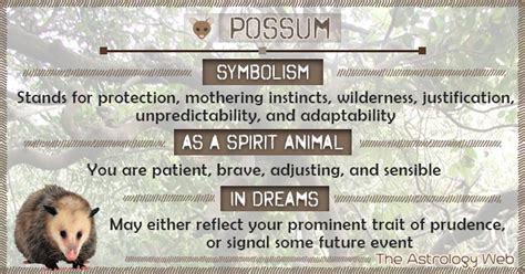 The Intriguing Black Possum: Decoding its Significance in Dreams