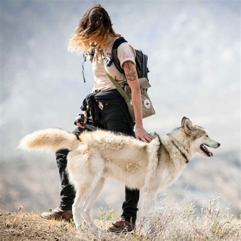 The Intriguing Connection: Humans and Wolves