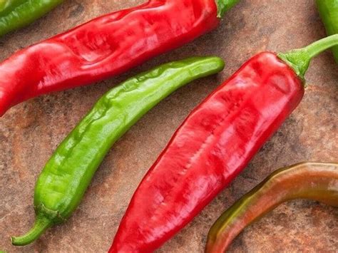 The Intriguing Past and Cultural Significance of Zesty Peppers