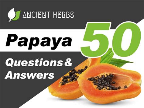 The Intriguing Pleasure of Indulging in Papaya: Exploring its Advantages and Symbolic Significance