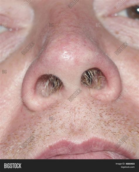 The Intriguing Realm of Nasal Hair: An In-Depth Exploration of Nostril Whiskers