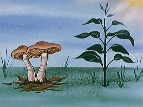 The Intriguing Role of Fungi in Shamanistic Traditions