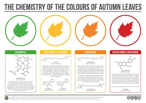 The Intriguing Science behind Azure Foliage