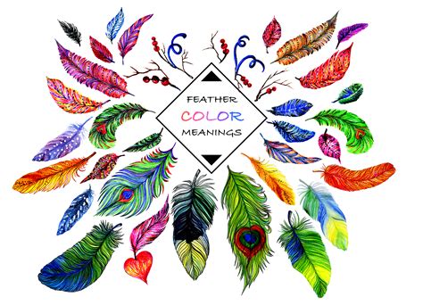 The Intriguing Significance of Celestial Feathers