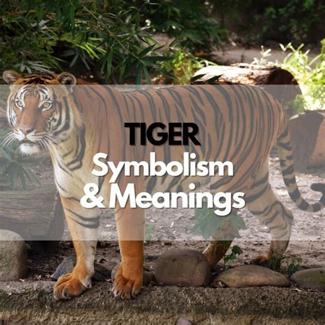 The Intriguing Symbolism of Tigers