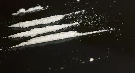 The Irresistible Urge: Understanding the Science of Cocaine Addiction